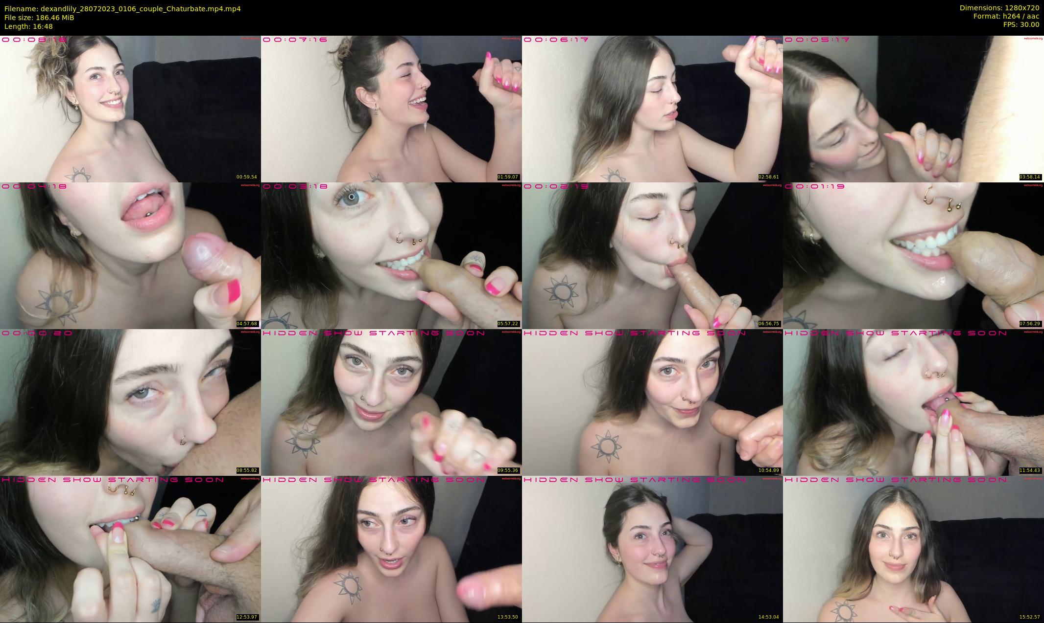 dexandlily — 17 minute Chaturbate couple cam show recording, 720p, Jul 28, 2023