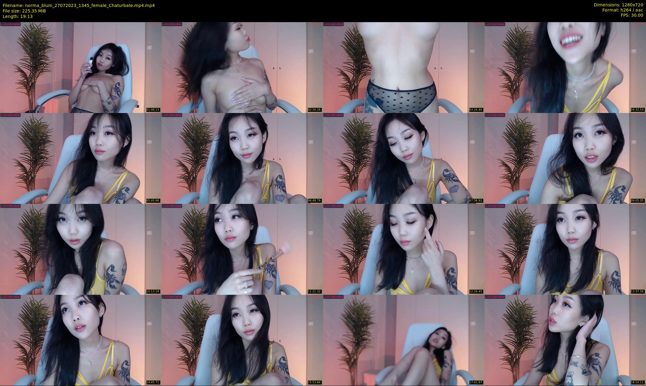 norma_blum — 20 minute Chaturbate female cam show recording, 720p, Jul 27, 2023
