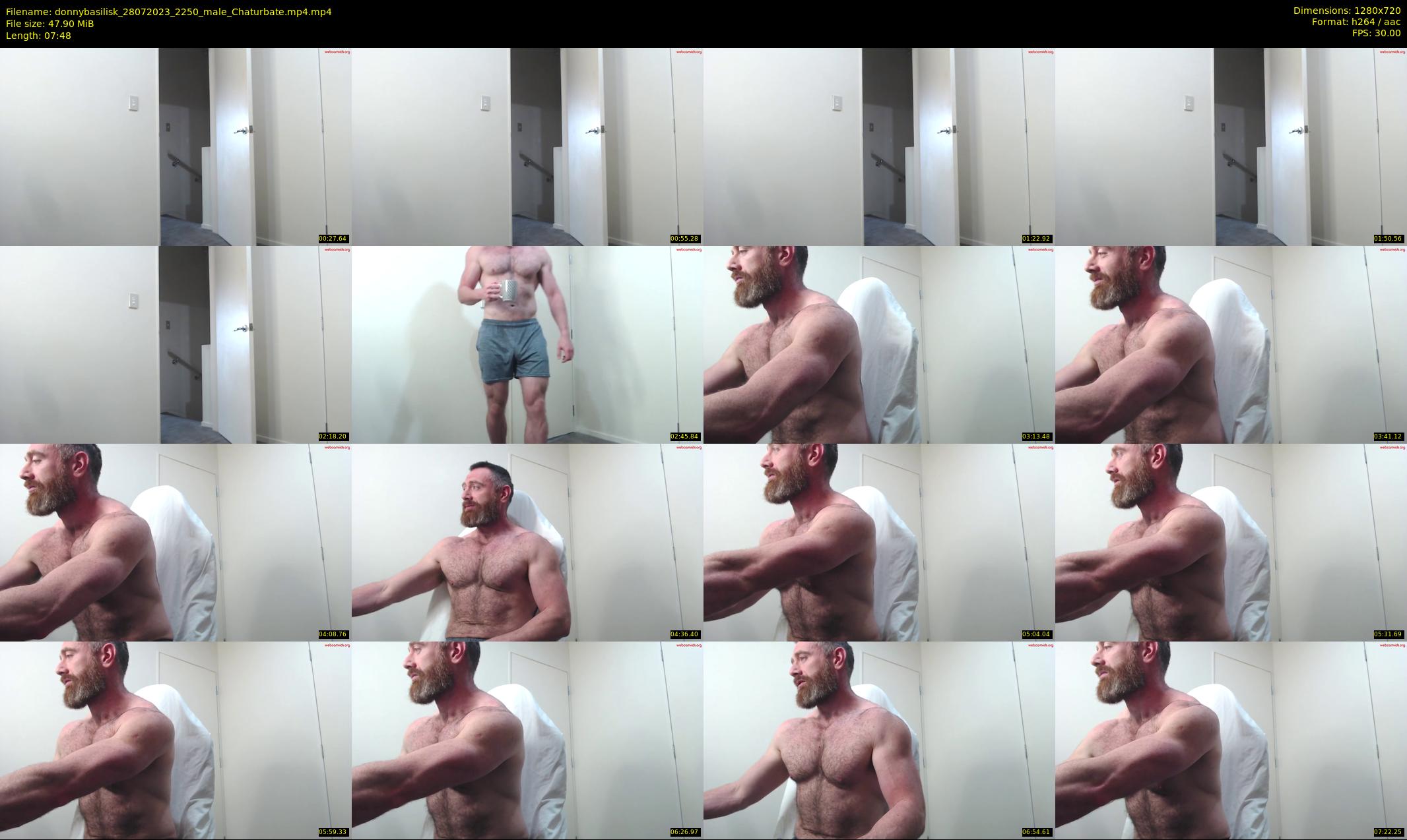 donnybasilisk — 8 minute Chaturbate male cam show recording, 720p, Jul 28, 2023