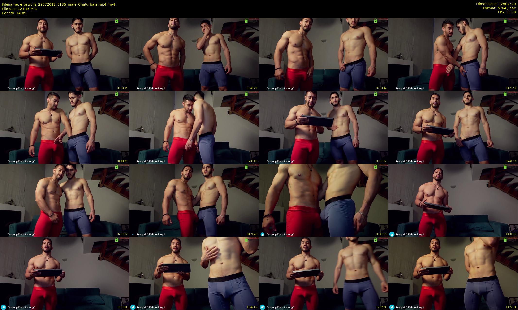 eroswolfs — 15 minute Chaturbate male cam show recording, 720p, Jul 29, 2023