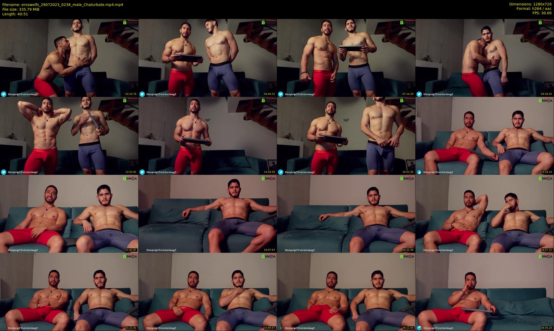 eroswolfs — 41 minute Chaturbate male cam show recording, 720p, Jul 29, 2023