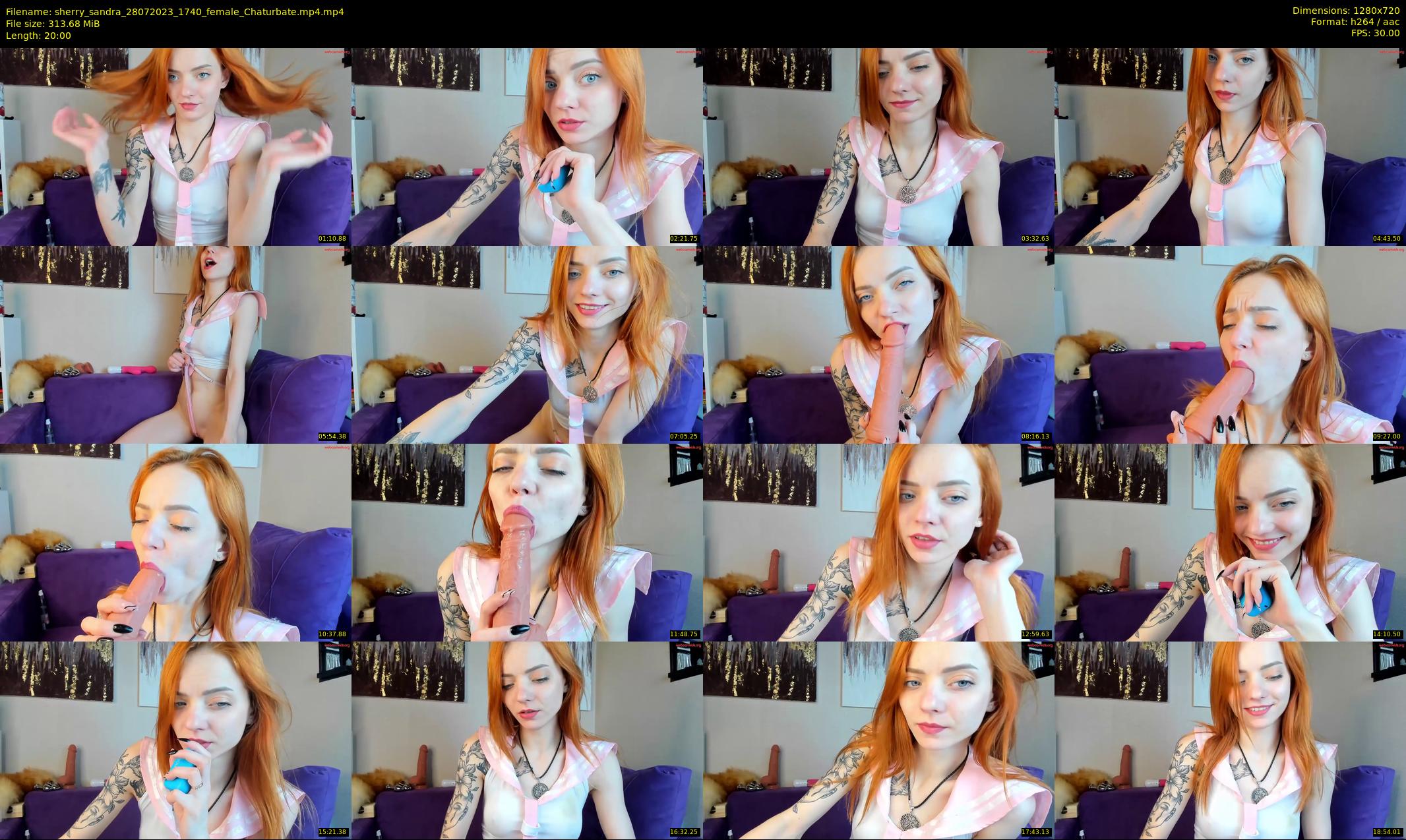 sherry_sandra — 20 minute Chaturbate female cam show recording, 720p, Jul 28, 2023