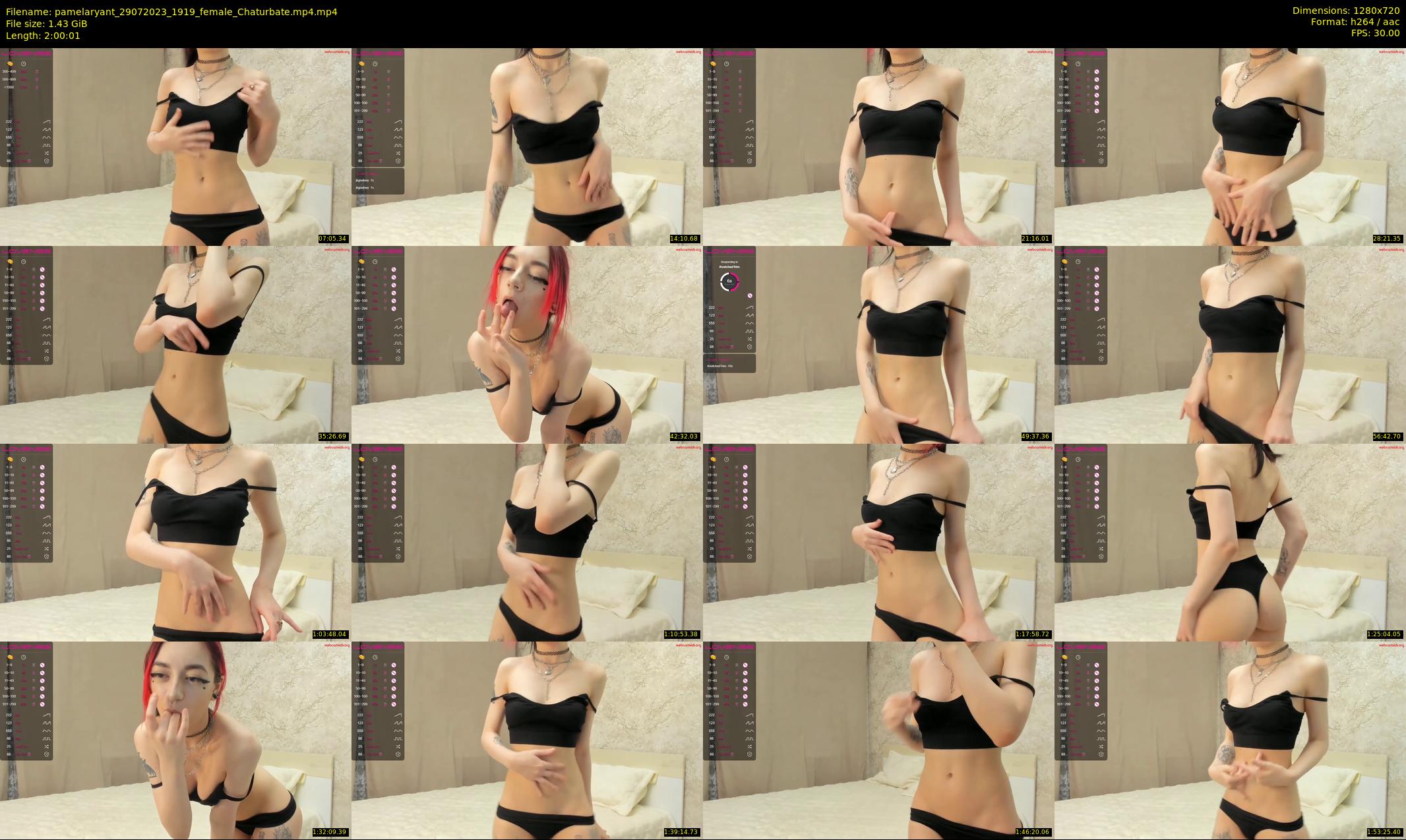 pamelaryant — 121 minute Chaturbate female cam show recording, 720p, Jul 29, 2023