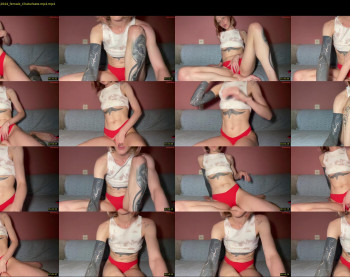 inaccessibles — 11 minute Chaturbate female cam show recording, 720p, Jul 30, 2023