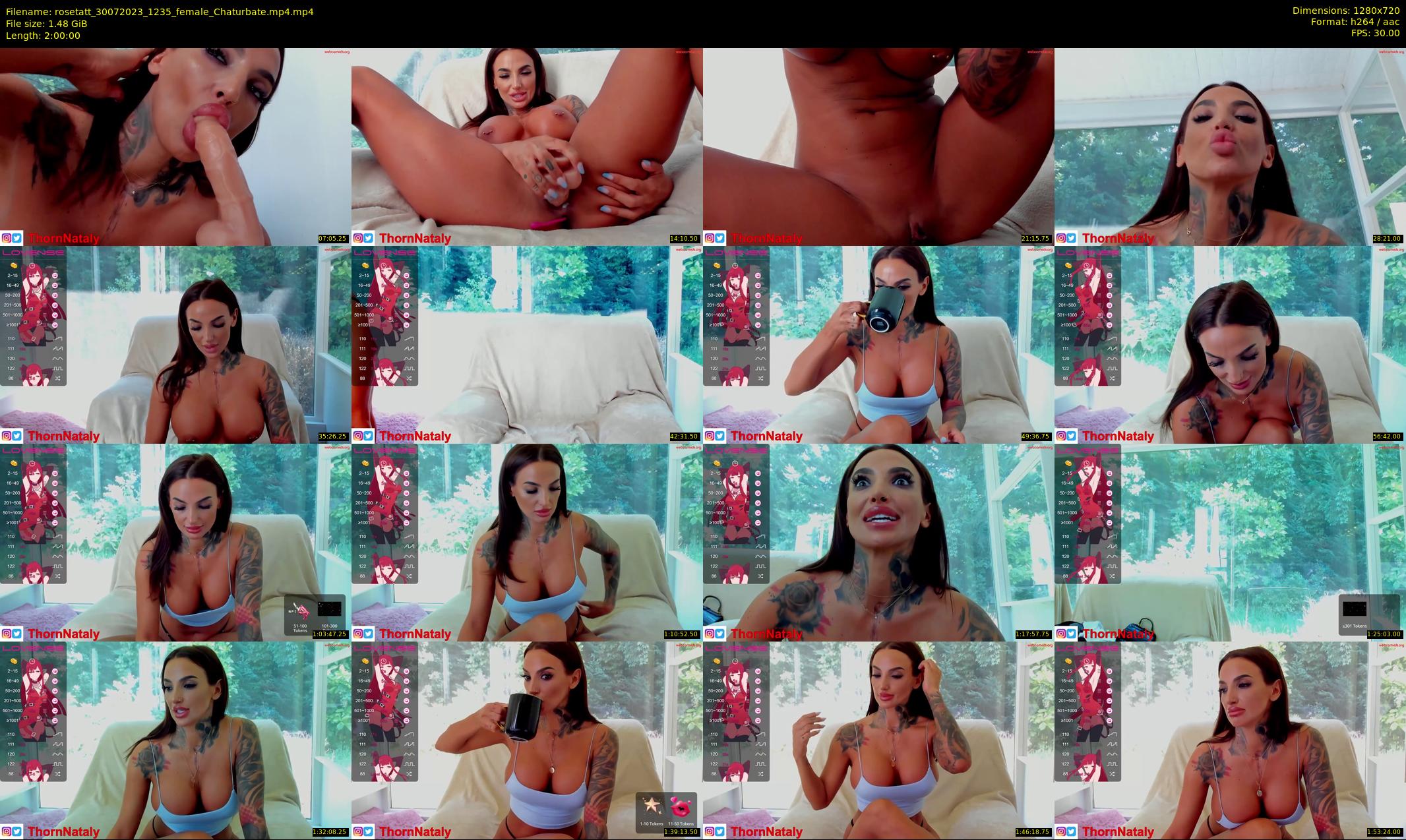 rosetatt — 120 minute Chaturbate female cam show recording, 720p, Jul 30, 2023