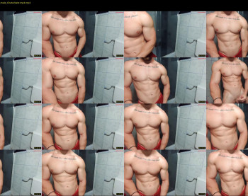 advp69 — 15 minute Chaturbate male cam show recording, 480p, Jul 31, 2023