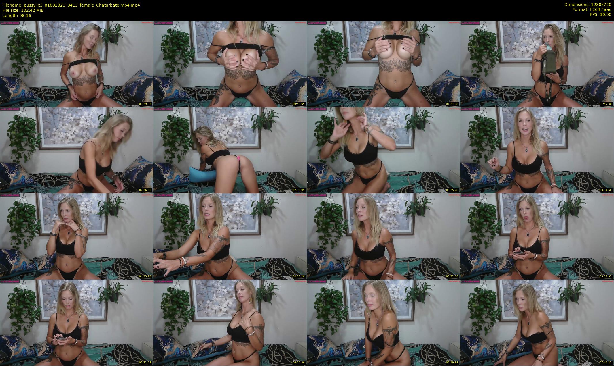 pussylix3 — 9 minute Chaturbate female cam show recording, 720p, Aug 1, 2023