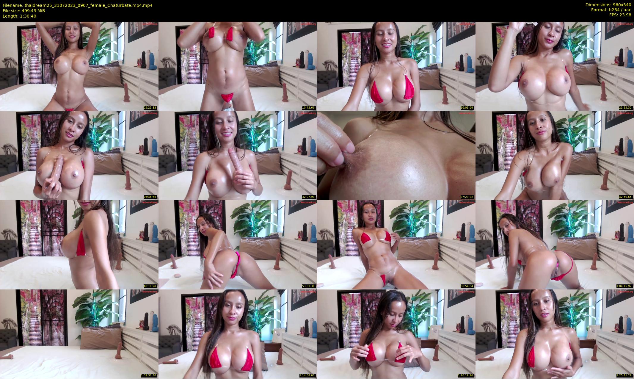 thaidream25 — 91 minute Chaturbate female cam show recording, 480p, Jul 31, 2023
