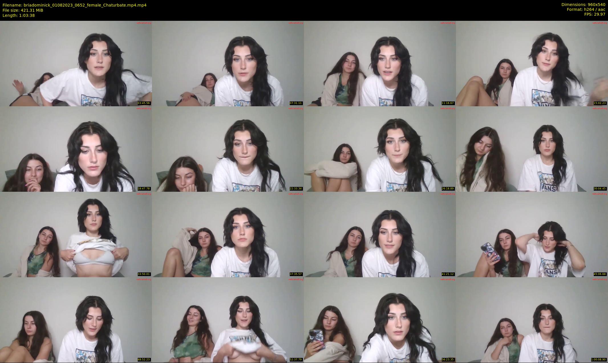 briadominick — 64 minute Chaturbate couple cam show recording, 480p, Aug 1, 2023
