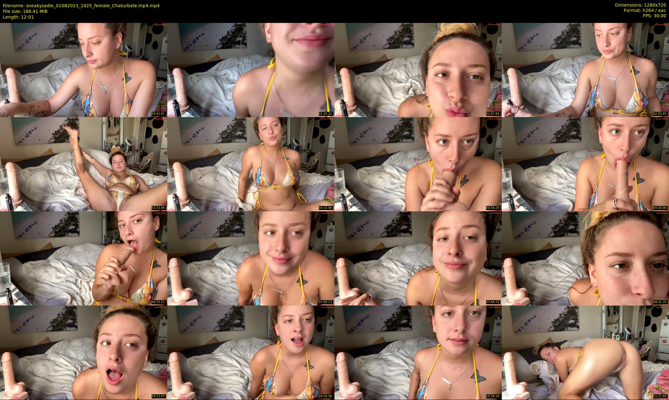 sneakysadie — 13 minute Chaturbate female cam show recording, 720p, Aug 1, 2023