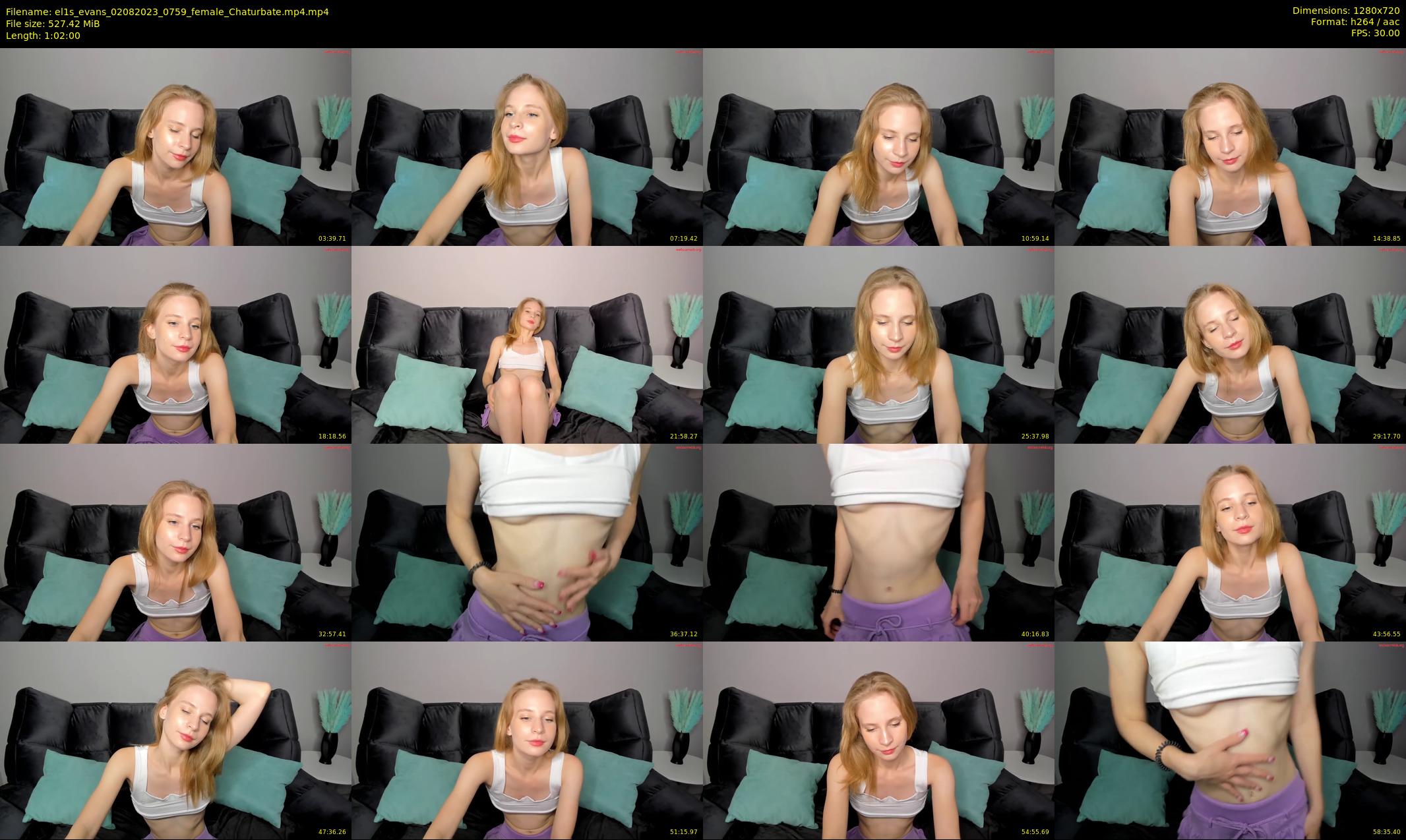 el1s_evans — 62 minute Chaturbate female cam show recording, 720p, Aug 2, 2023