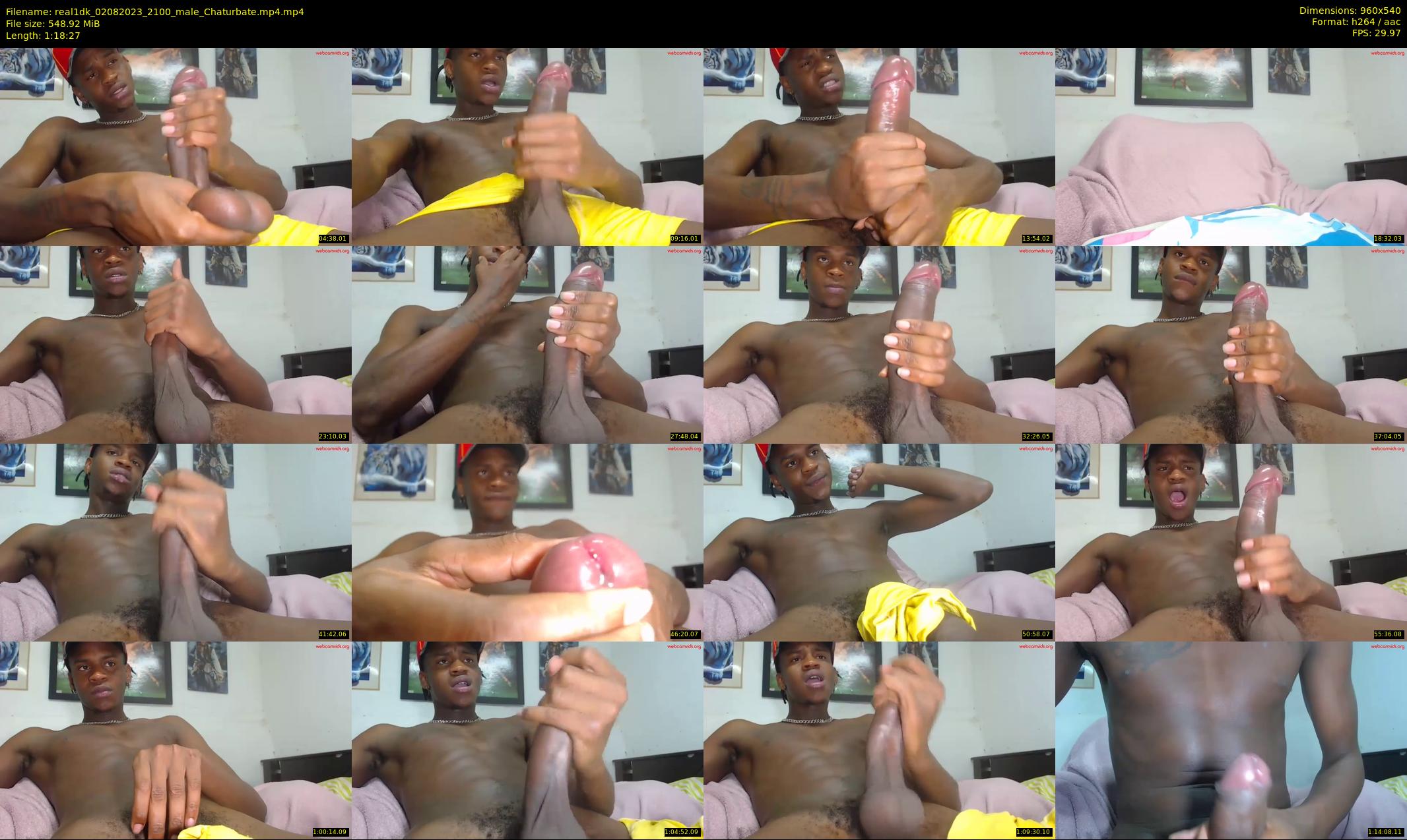 real1dk — 79 minute Chaturbate male cam show recording, 480p, Aug 2, 2023
