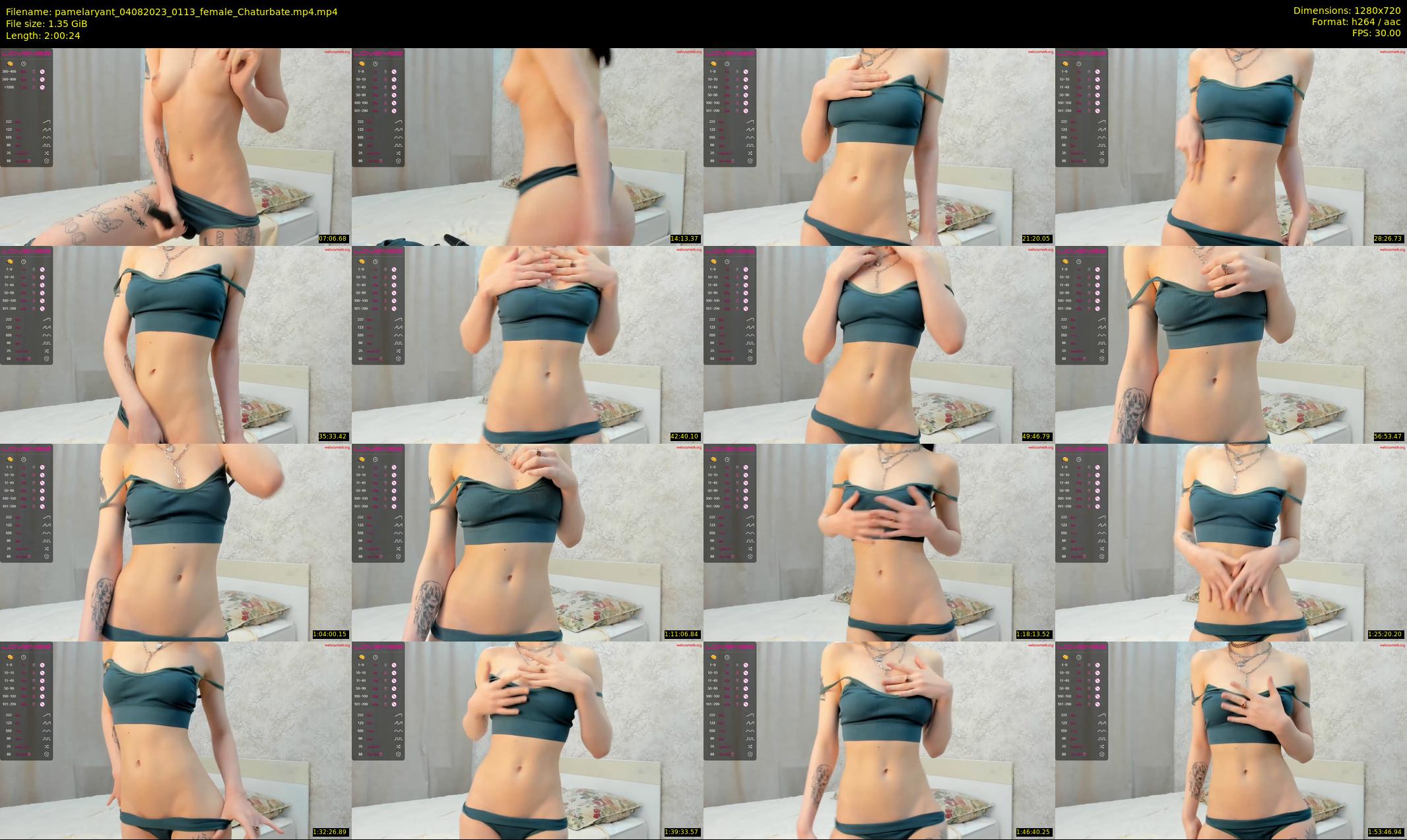 pamelaryant — 121 minute Chaturbate female cam show recording, 720p, Aug 4, 2023