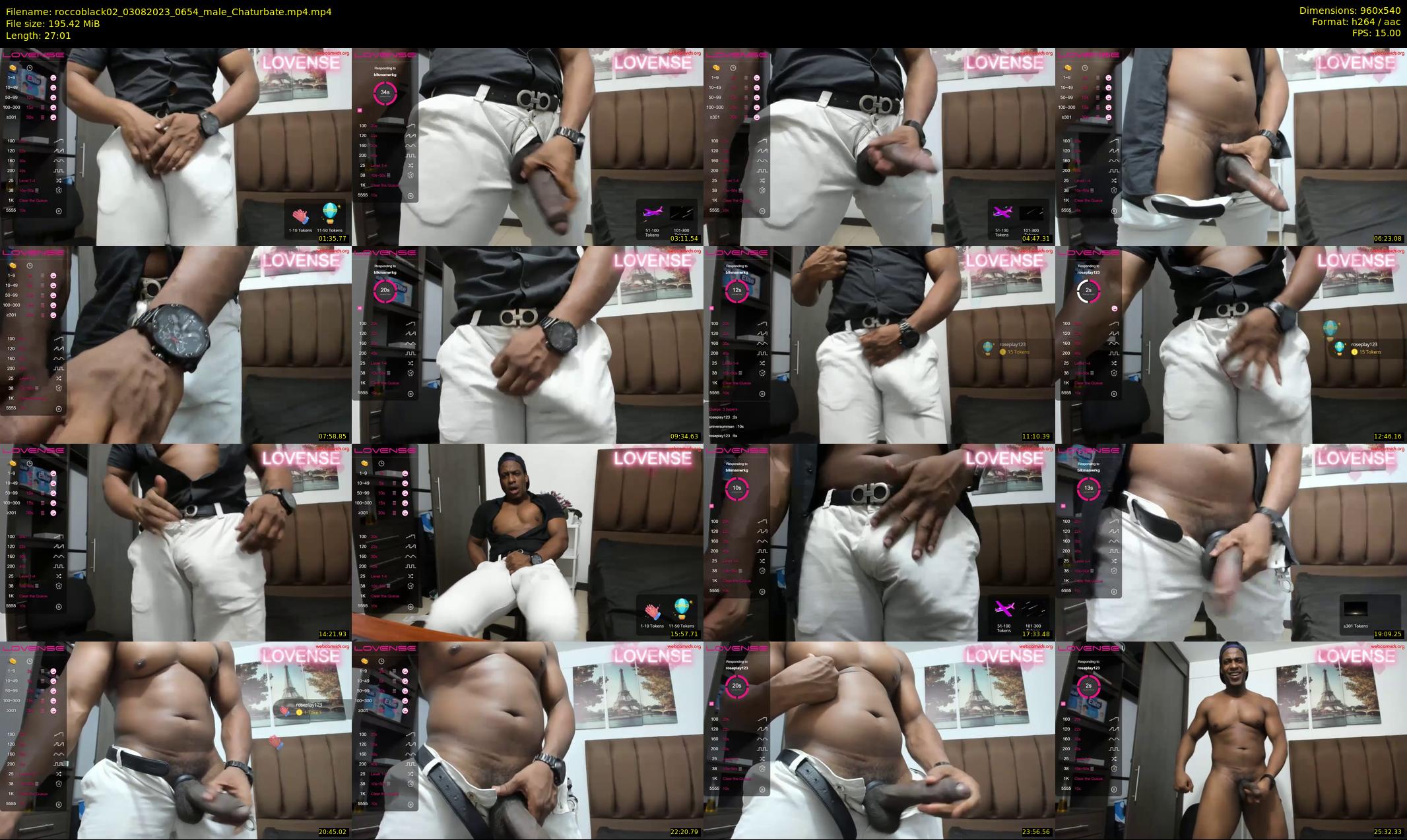 roccoblack02 — 28 minute Chaturbate male cam show recording, 480p, Aug 3, 2023