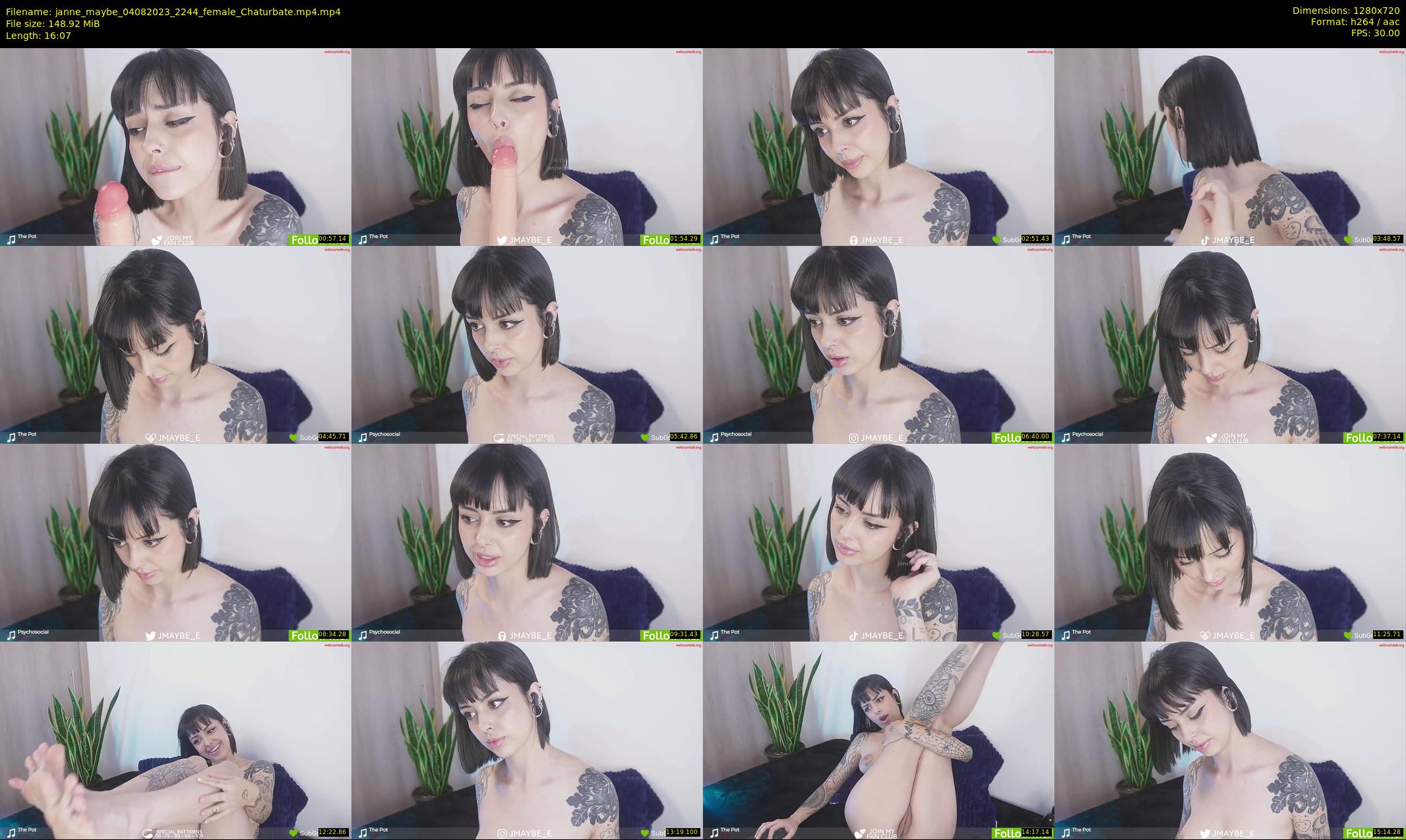 janne_maybe — 17 minute Chaturbate female cam show recording, 720p, Aug 4, 2023