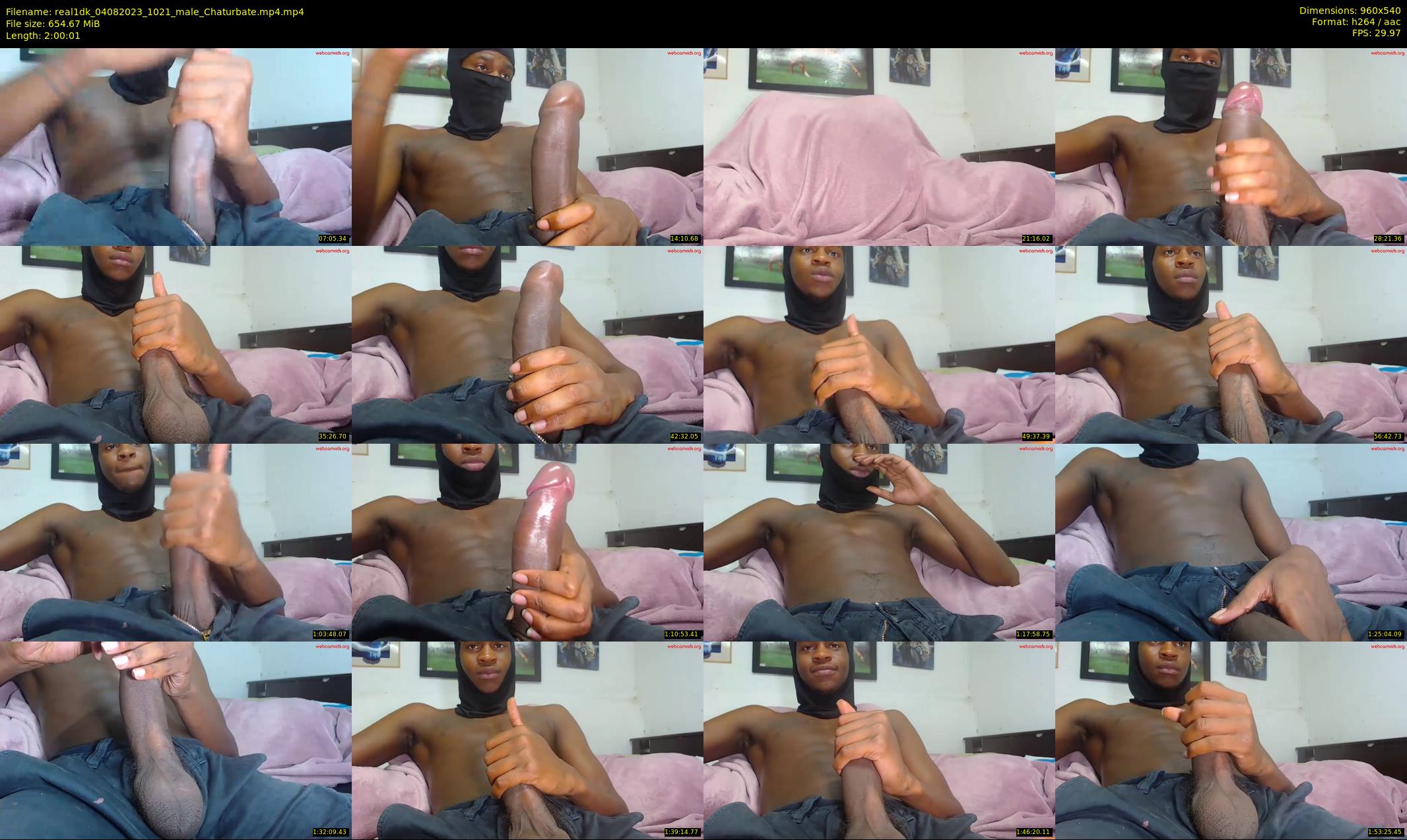 real1dk — 121 minute Chaturbate male cam show recording, 480p, Aug 4, 2023