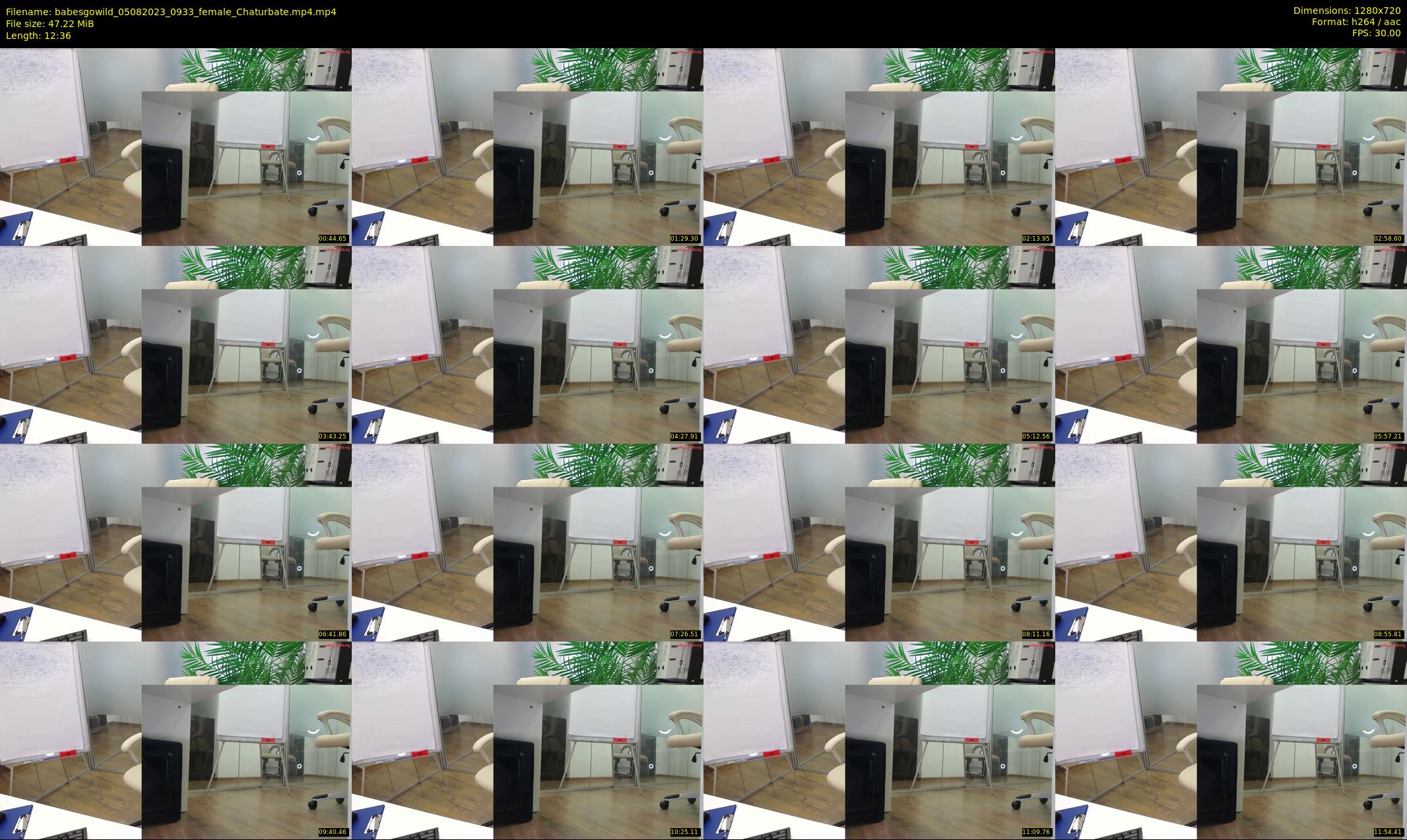 babesgowild — 13 minute Chaturbate couple cam show recording, 720p, Aug 5, 2023