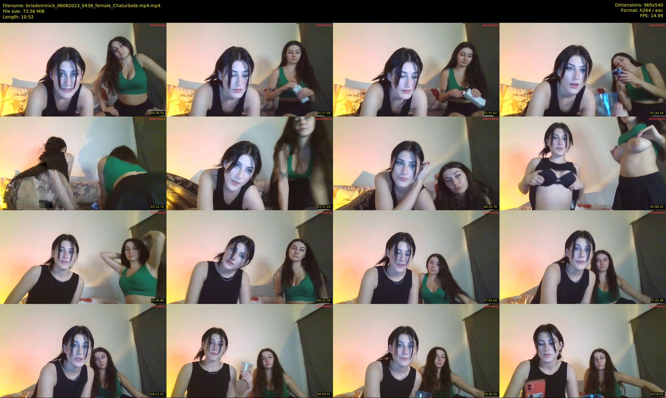 briadominick — 11 minute Chaturbate couple cam show recording, 480p, Aug 6, 2023