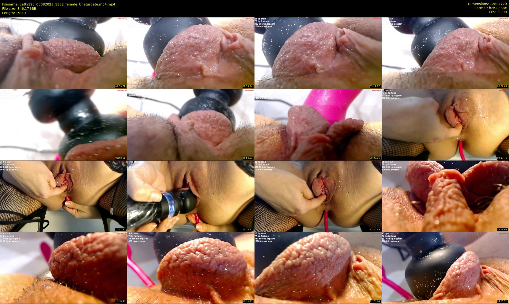catty190 — 20 minute Chaturbate female cam show recording, 720p, Aug 5, 2023