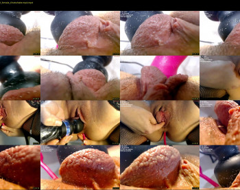 catty190 — 20 minute Chaturbate female cam show recording, 720p, Aug 5, 2023