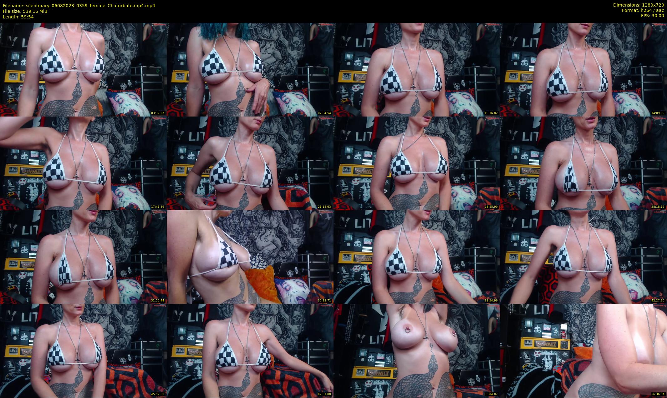 silentmary — 60 minute Chaturbate female cam show recording, 720p, Aug 6, 2023