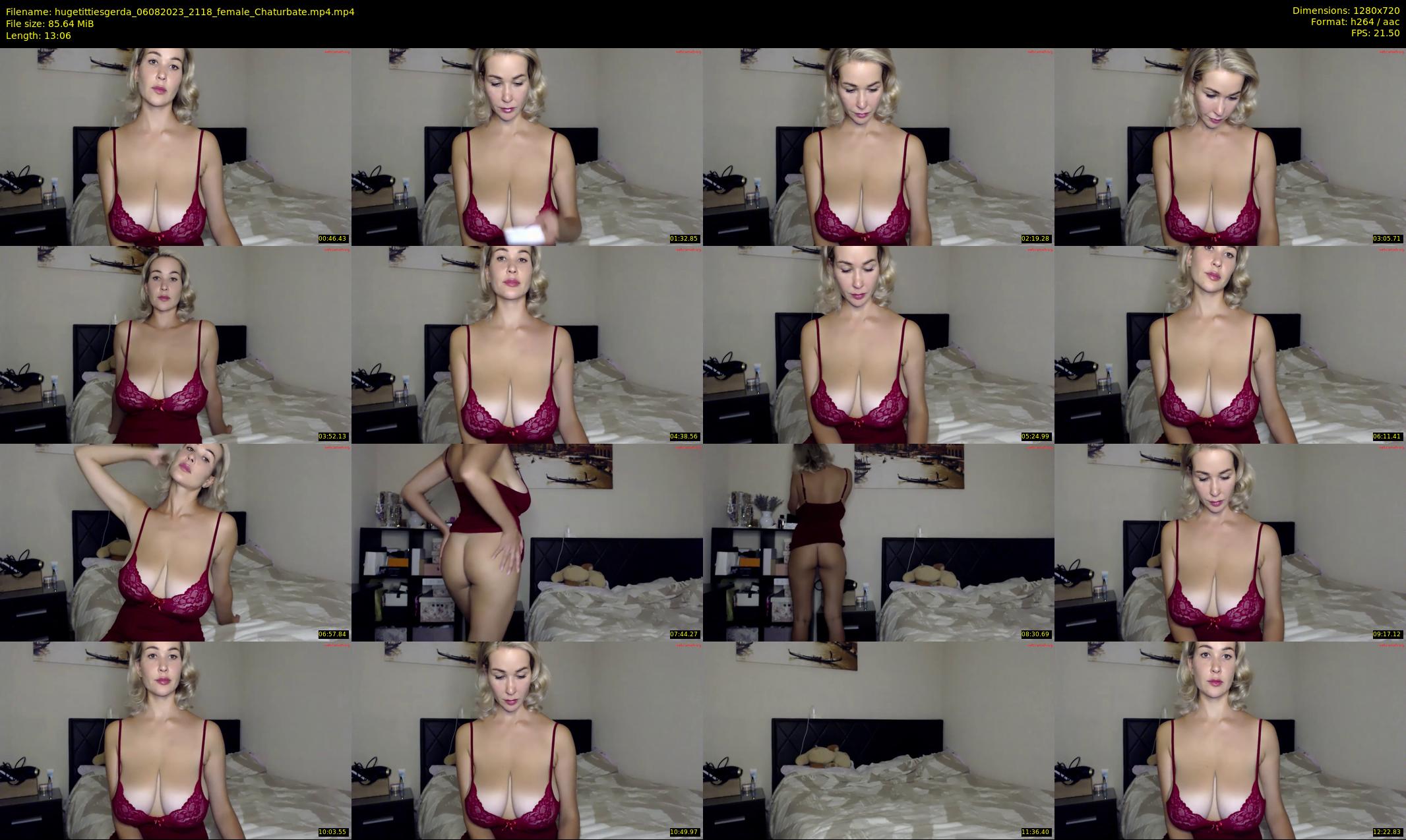 hugetittiesgerda — 14 minute Chaturbate female cam show recording, 720p, Aug 6, 2023
