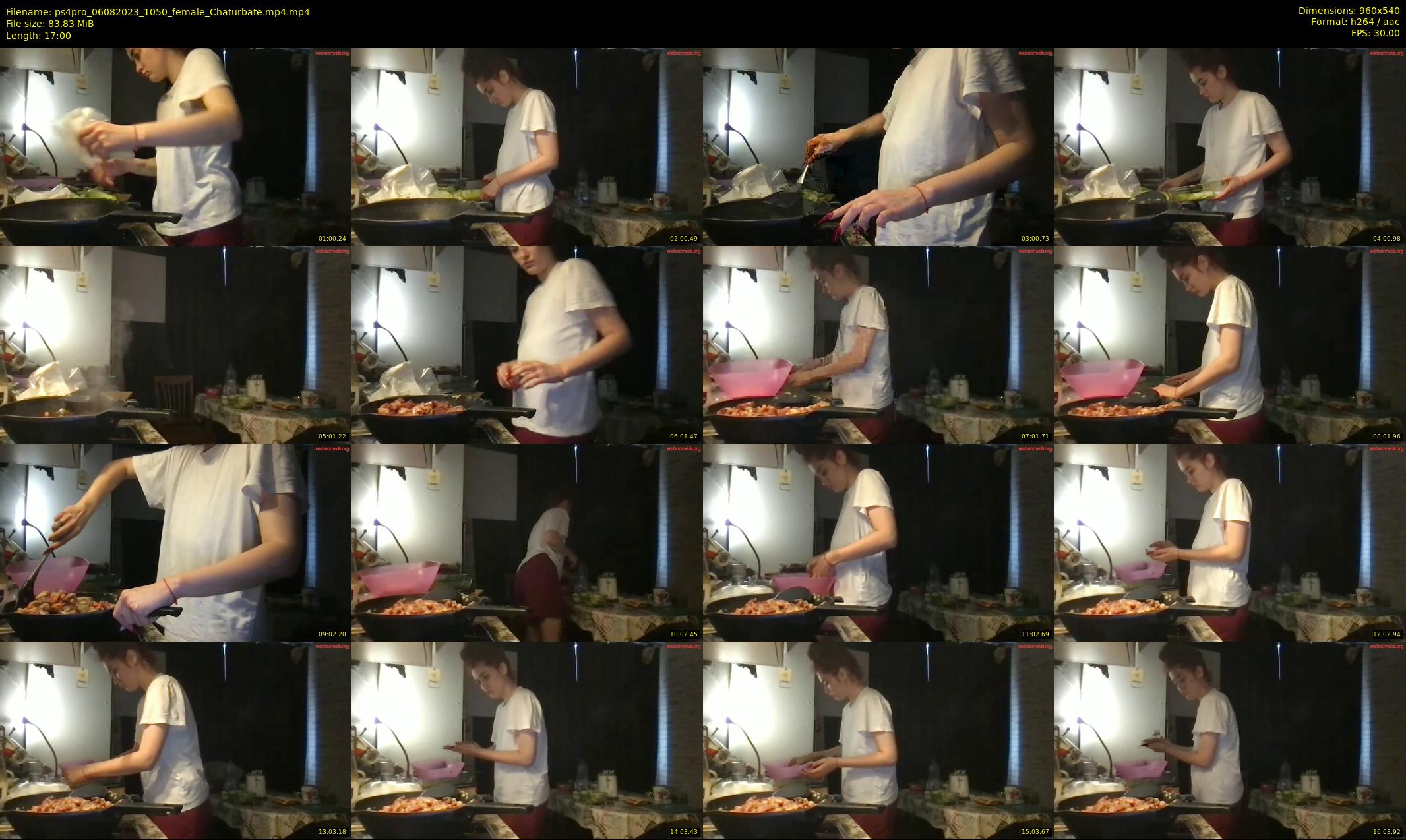ps4pro — 17 minute Chaturbate female cam show recording, 480p, Aug 6, 2023