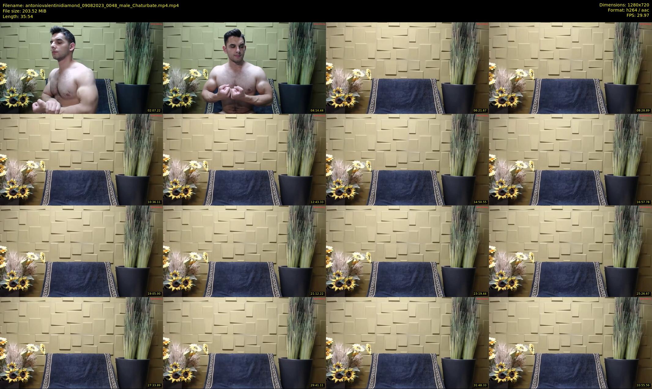 antoniovalentinidiamond — 36 minute Chaturbate male cam show recording, 720p, Aug 9, 2023