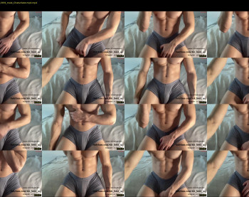 bestdick1991 — 25 minute Chaturbate male cam show recording, 720p, Aug 8, 2023