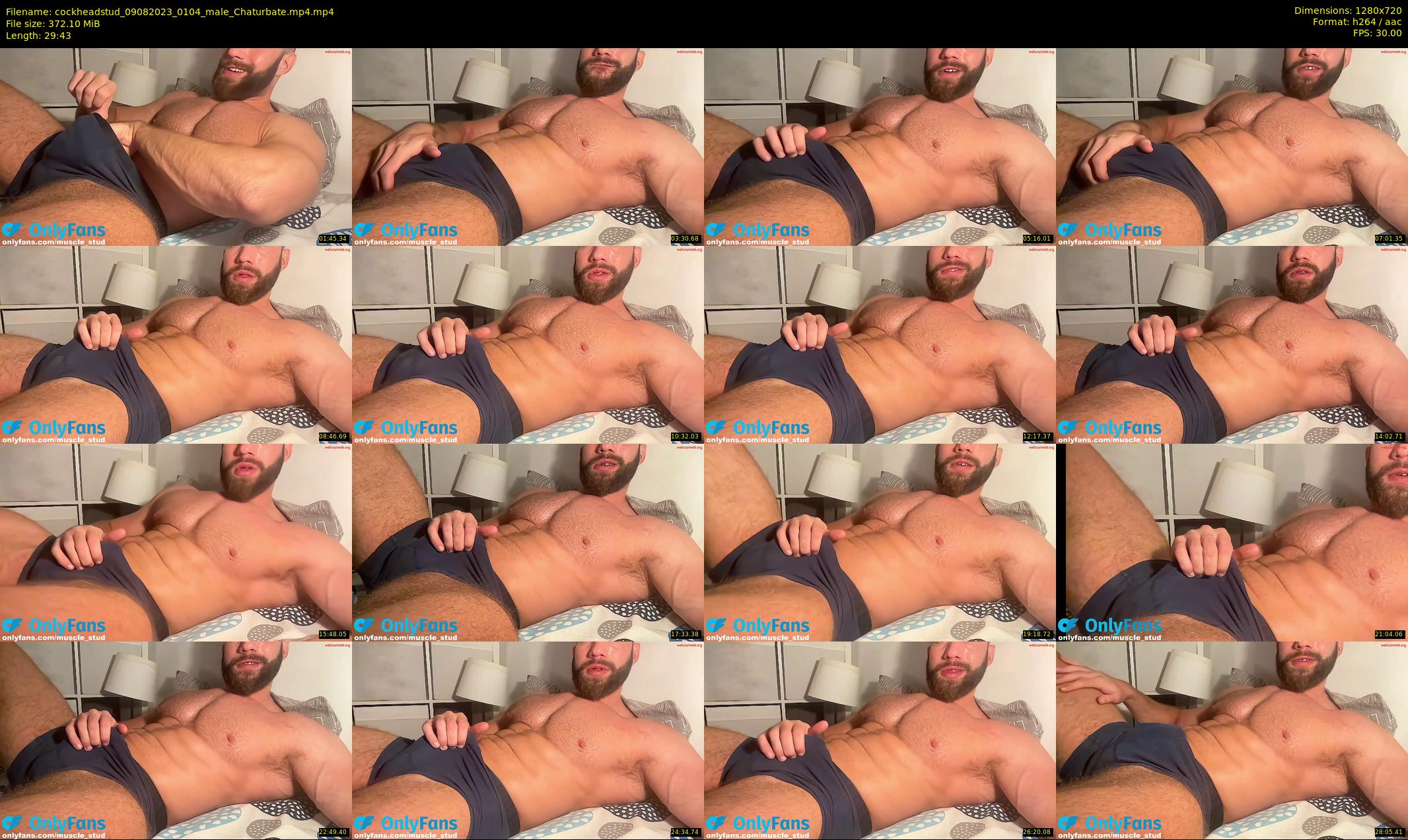 cockheadstud — 30 minute Chaturbate male cam show recording, 720p, Aug 9, 2023