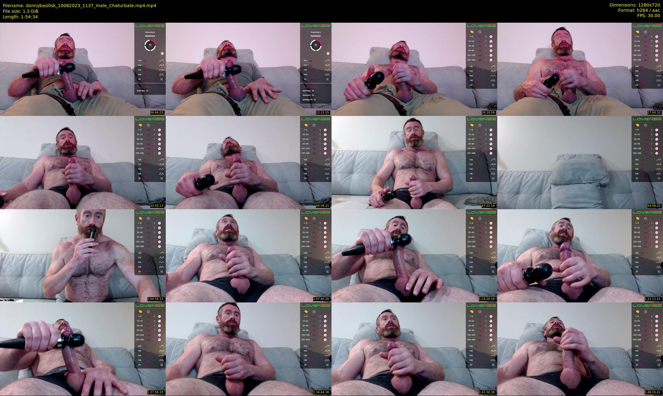donnybasilisk — 115 minute Chaturbate male cam show recording, 720p, Aug 10, 2023