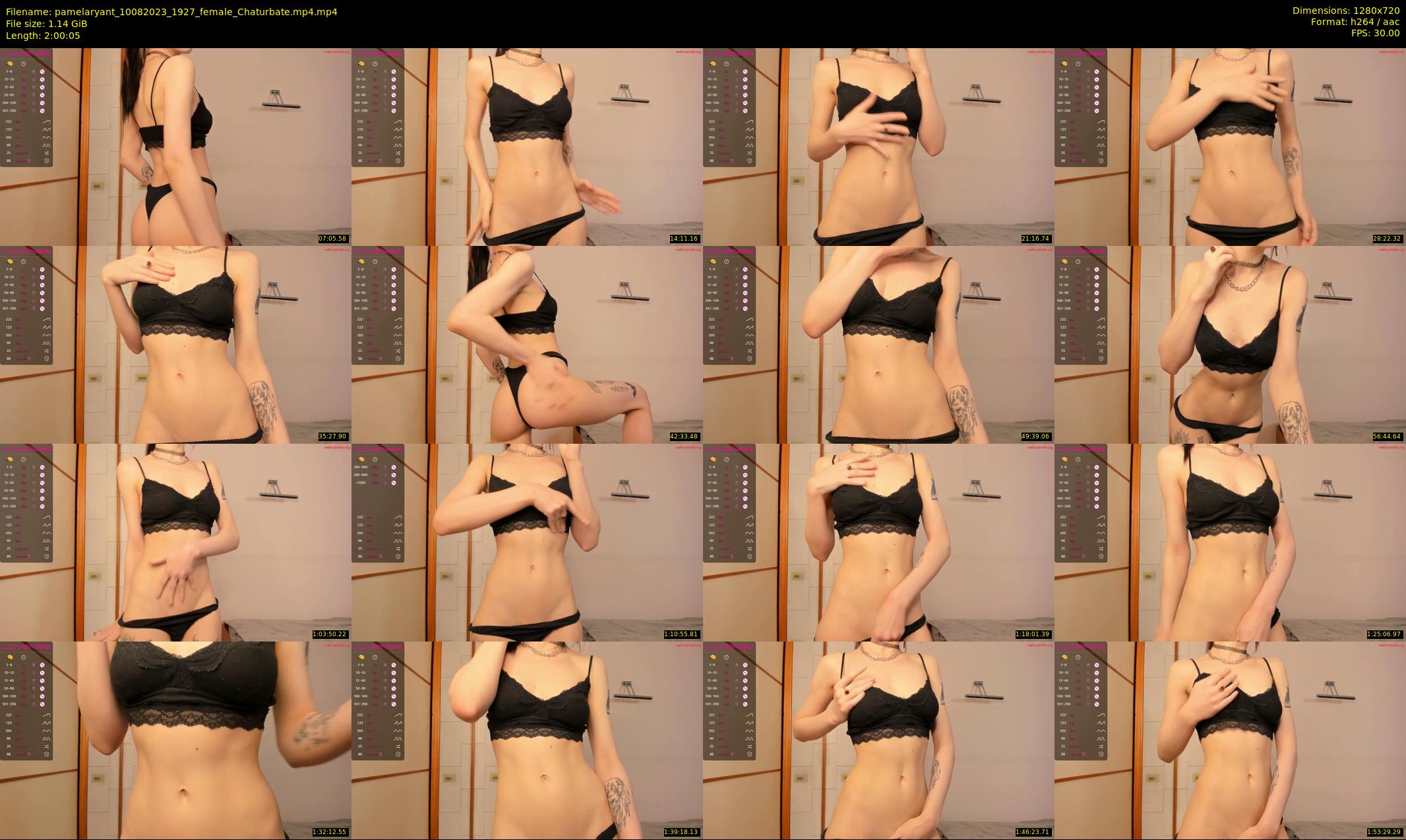 pamelaryant — 121 minute Chaturbate female cam show recording, 720p, Aug 10, 2023