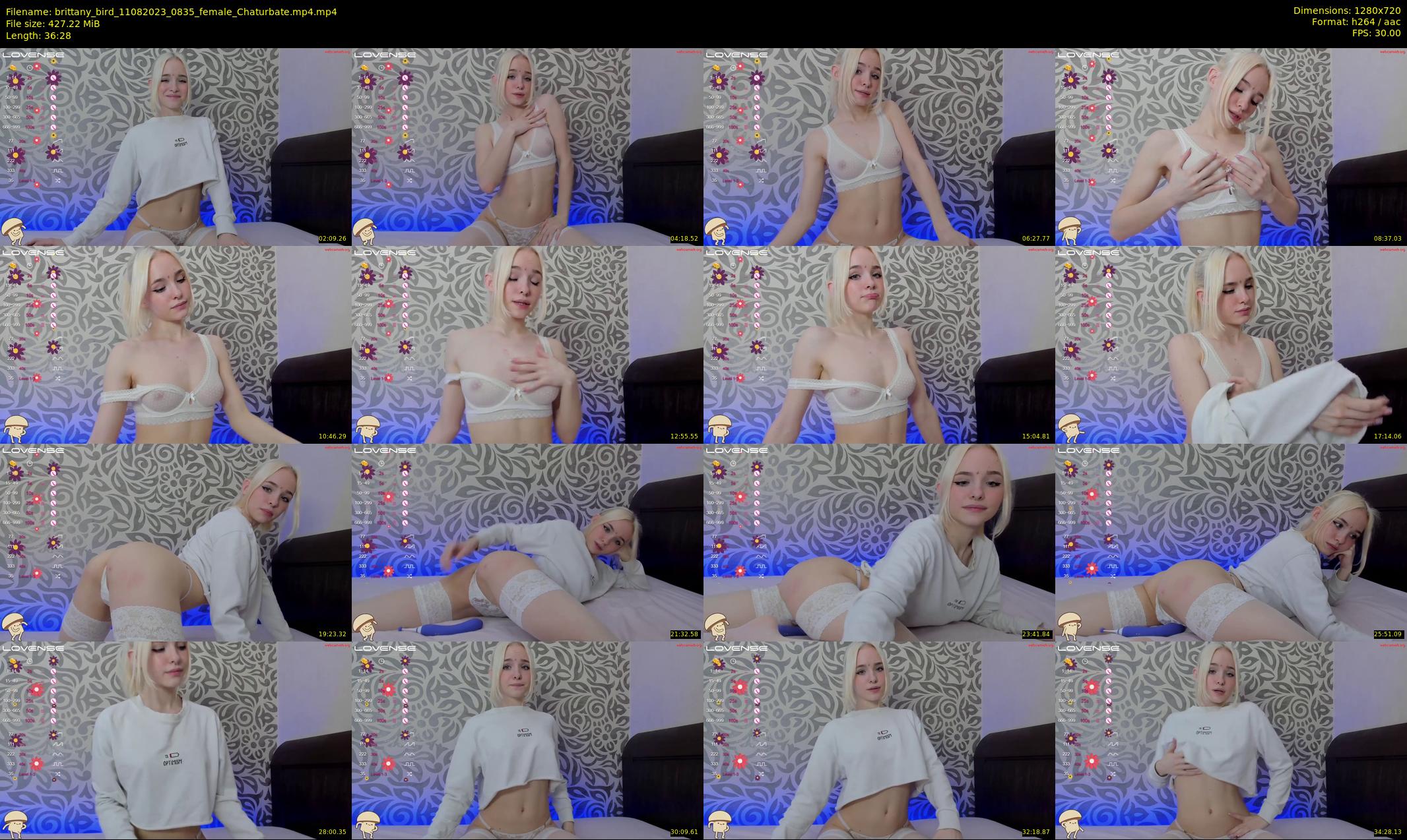 brittany_bird — 37 minute Chaturbate female cam show recording, 720p, Aug 11, 2023
