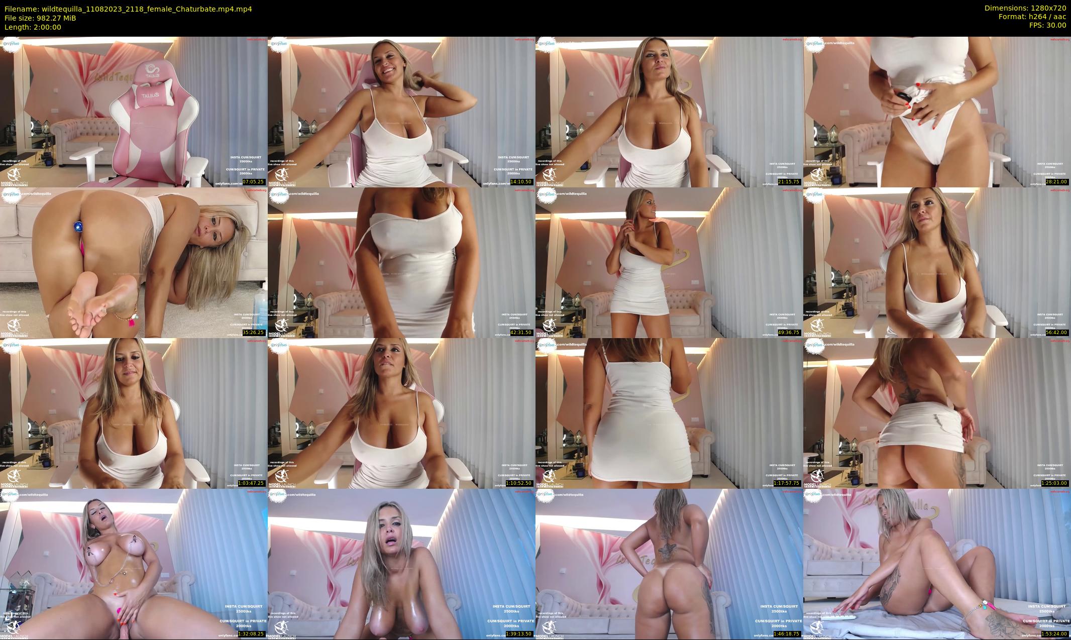 wildtequilla — 120 minute Chaturbate couple cam show recording, 720p, Aug 11, 2023