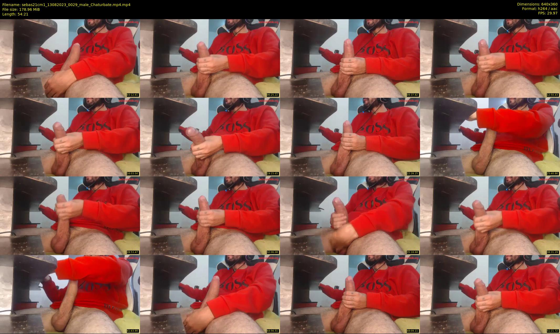 sebas21cm1 — 55 minute Chaturbate male cam show recording, 360p, Aug 13, 2023