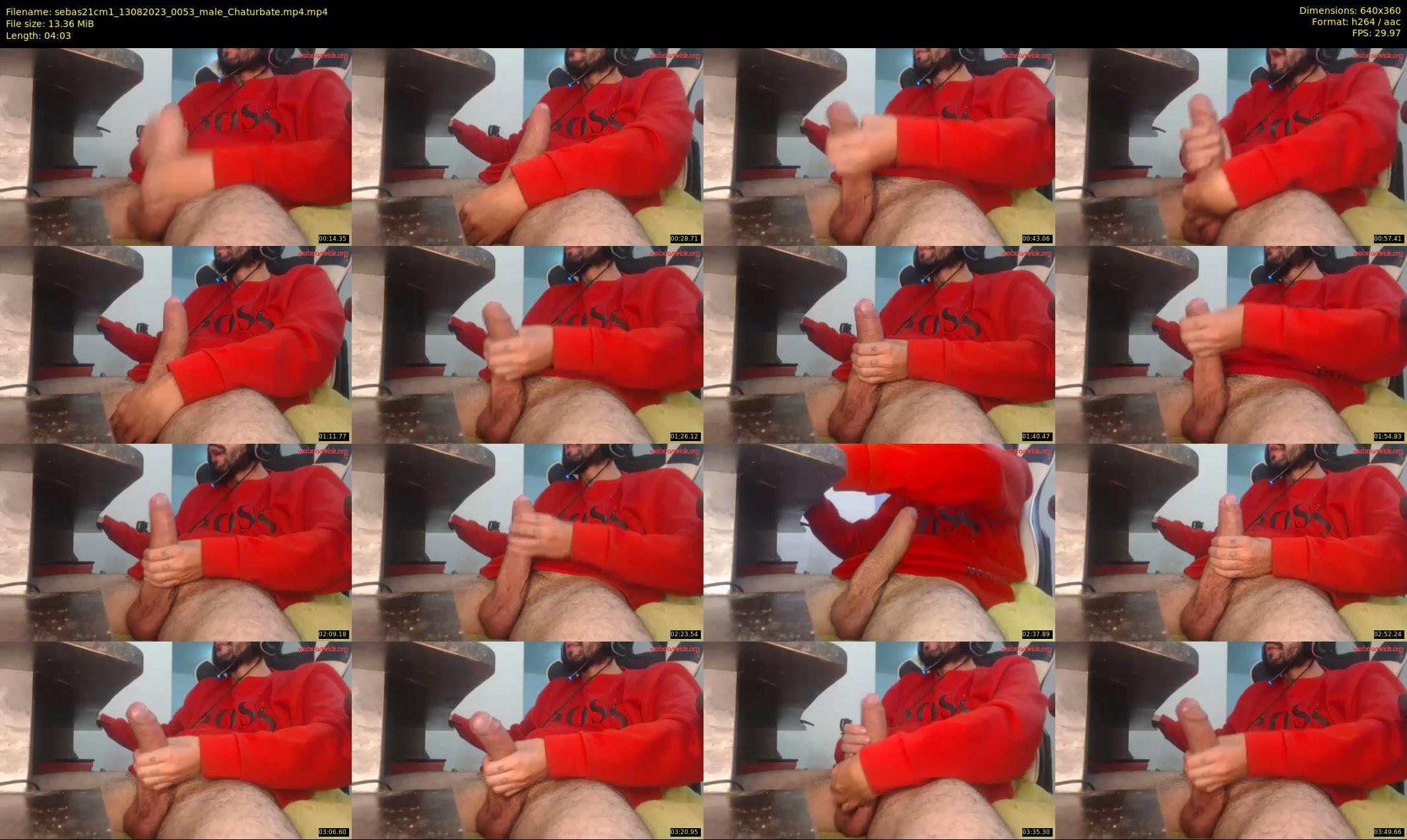 sebas21cm1 — 5 minute Chaturbate male cam show recording, 360p, Aug 13, 2023