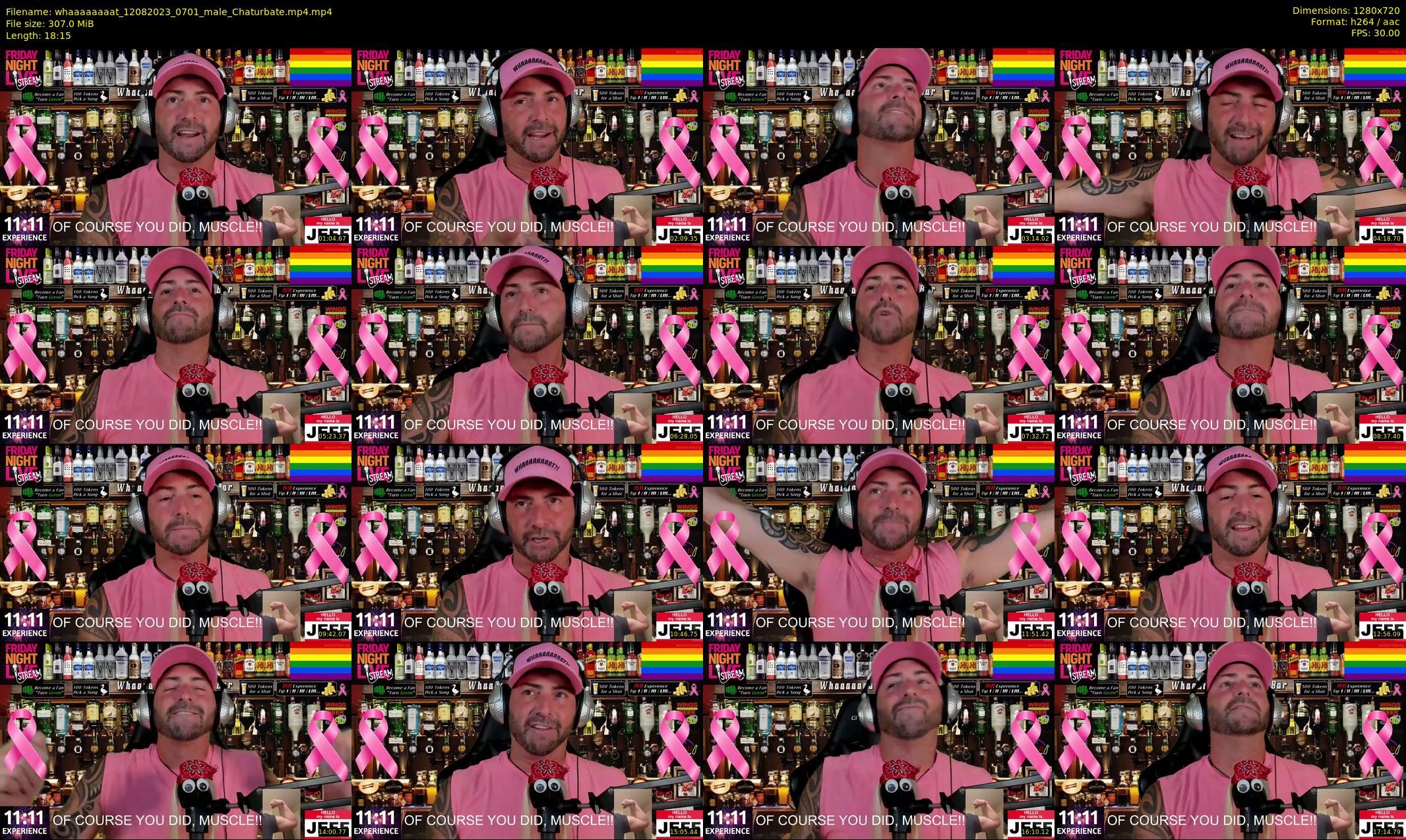 whaaaaaaaat — 19 minute Chaturbate couple cam show recording, 720p, Aug 12, 2023