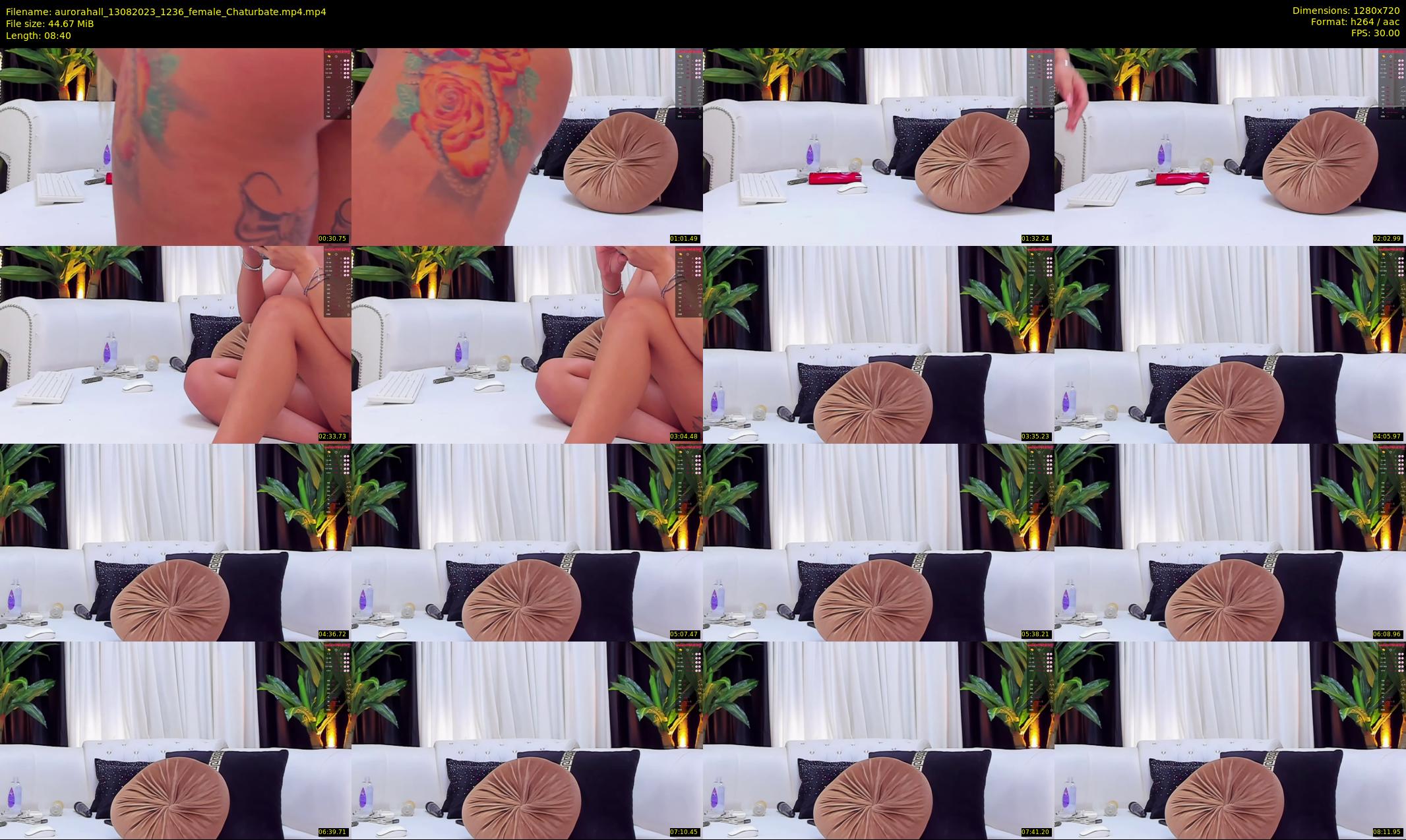 aurorahall — 9 minute Chaturbate female cam show recording, 720p, Aug 13, 2023