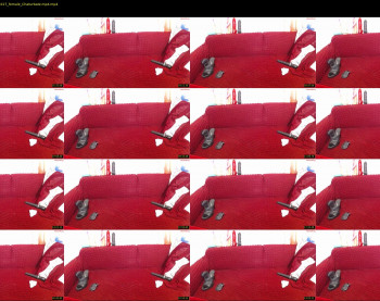 danacougar — 27 minute Chaturbate female cam show recording, 720p, Aug 13, 2023