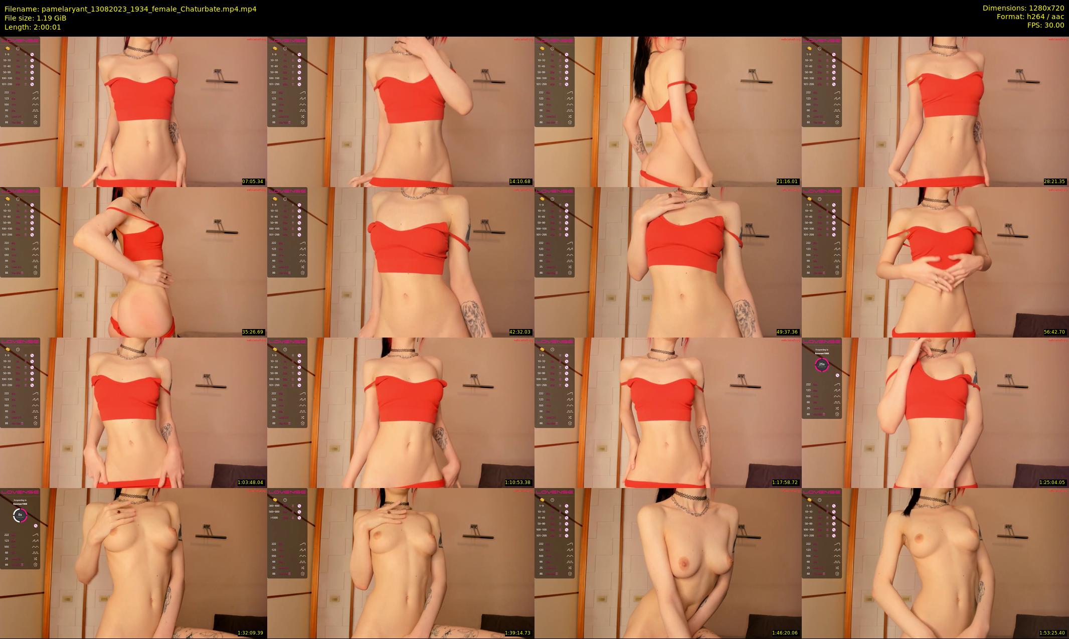 pamelaryant — 121 minute Chaturbate female cam show recording, 720p, Aug 13, 2023