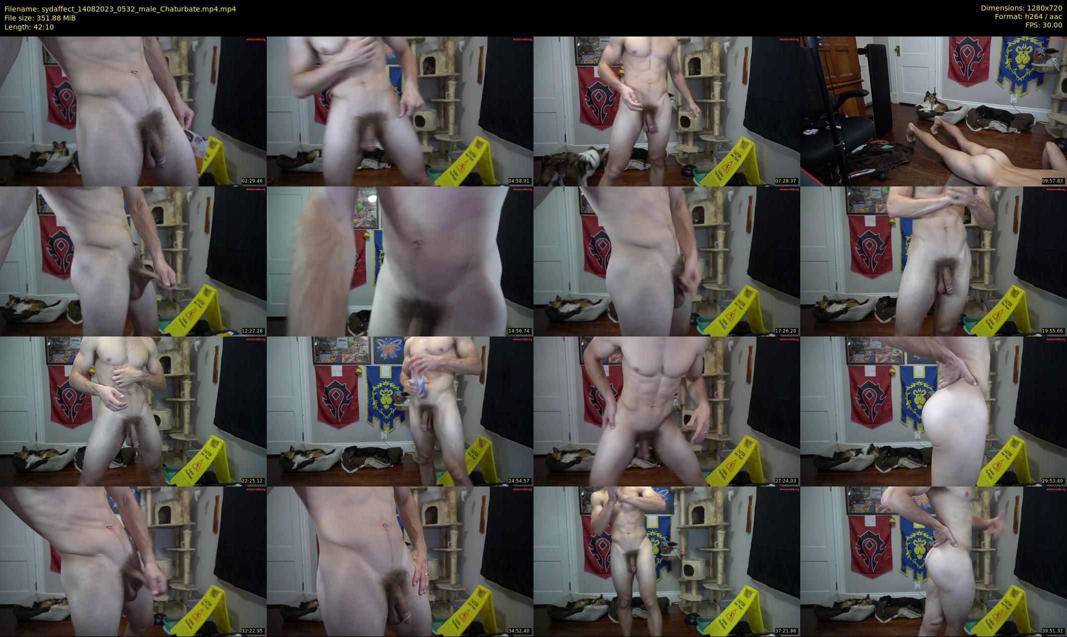 sydaffect — 43 minute Chaturbate male cam show recording, 720p, Aug 14, 2023