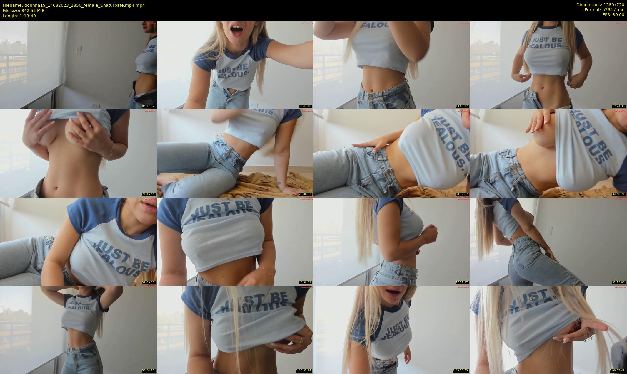 donnna19 — 74 minute Chaturbate female cam show recording, 720p, Aug 14, 2023