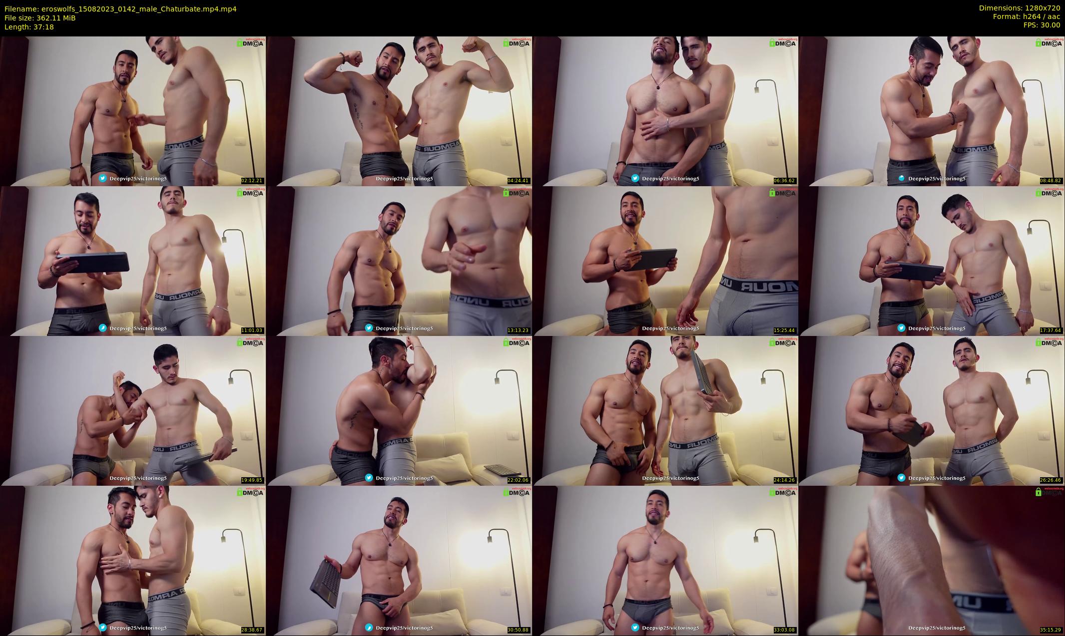 eroswolfs — 38 minute Chaturbate male cam show recording, 720p, Aug 15, 2023