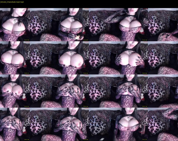 sofianix — 11 minute Chaturbate female cam show recording, 720p, Aug 14, 2023
