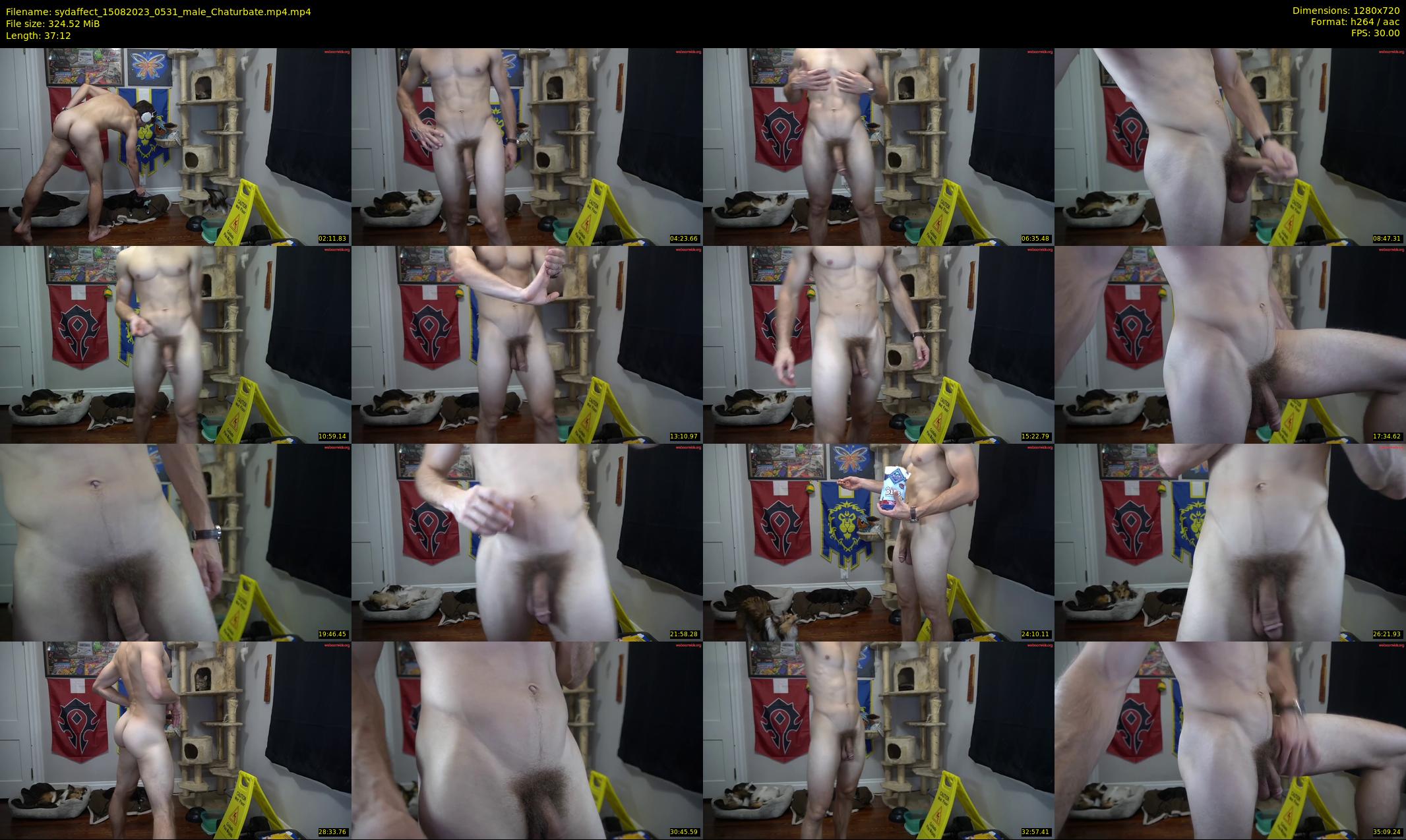 sydaffect — 38 minute Chaturbate male cam show recording, 720p, Aug 15, 2023