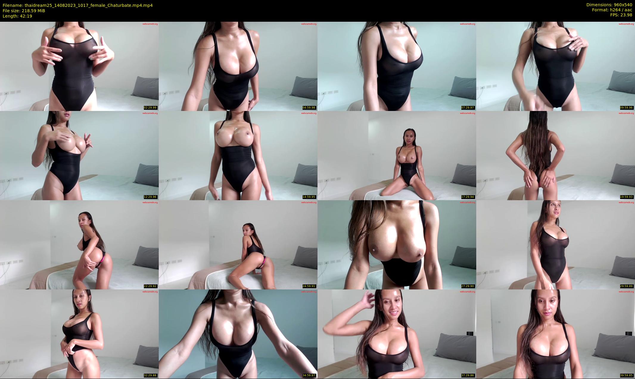 thaidream25 — 43 minute Chaturbate female cam show recording, 480p, Aug 14, 2023