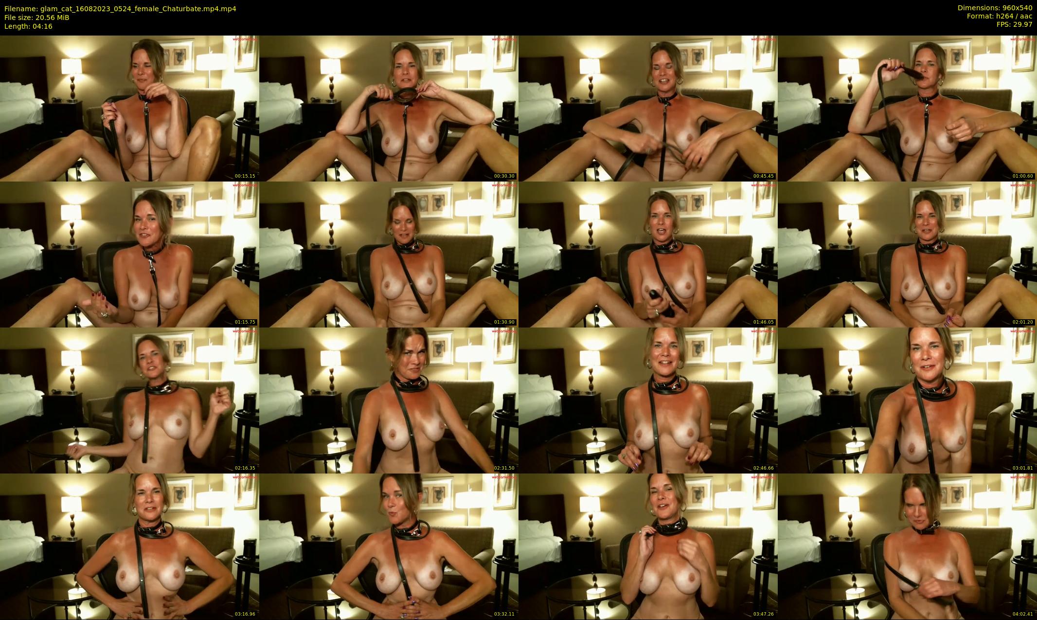 glam_cat — 5 minute Chaturbate female cam show recording, 480p, Aug 16, 2023