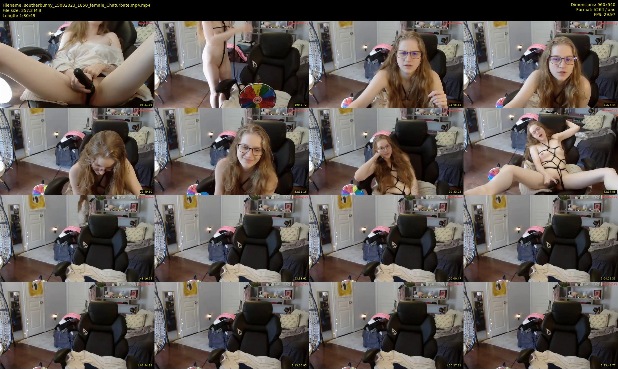 southerbunny — 91 minute Chaturbate female cam show recording, 480p, Aug 15, 2023