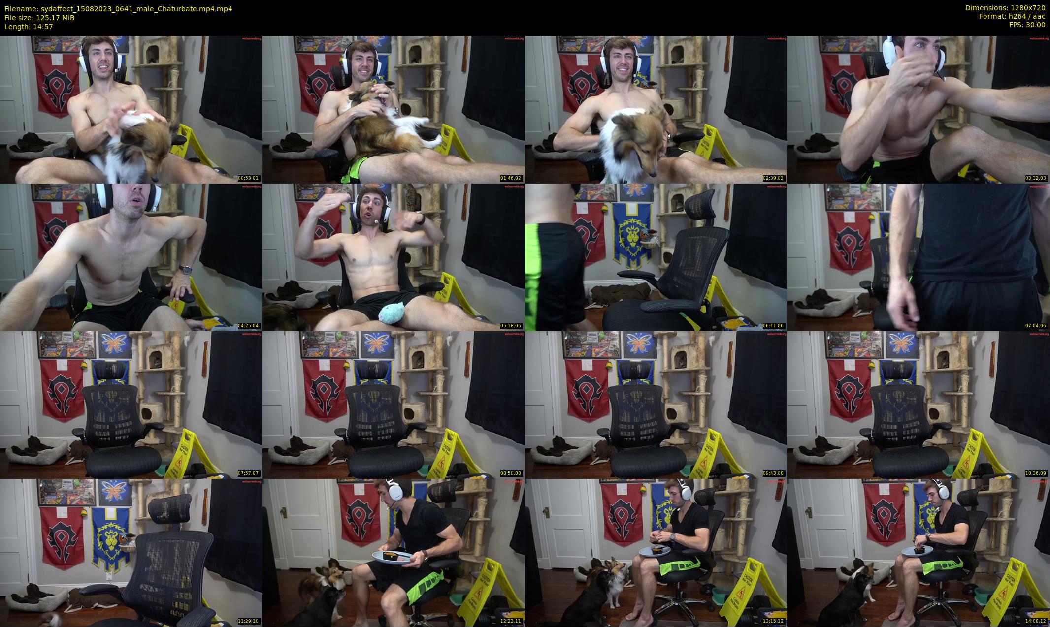 sydaffect — 15 minute Chaturbate male cam show recording, 720p, Aug 15, 2023