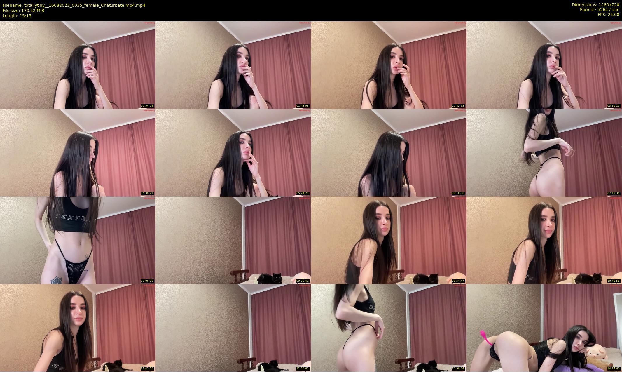 totallytiny_ — 16 minute Chaturbate female cam show recording, 720p, Aug 16, 2023